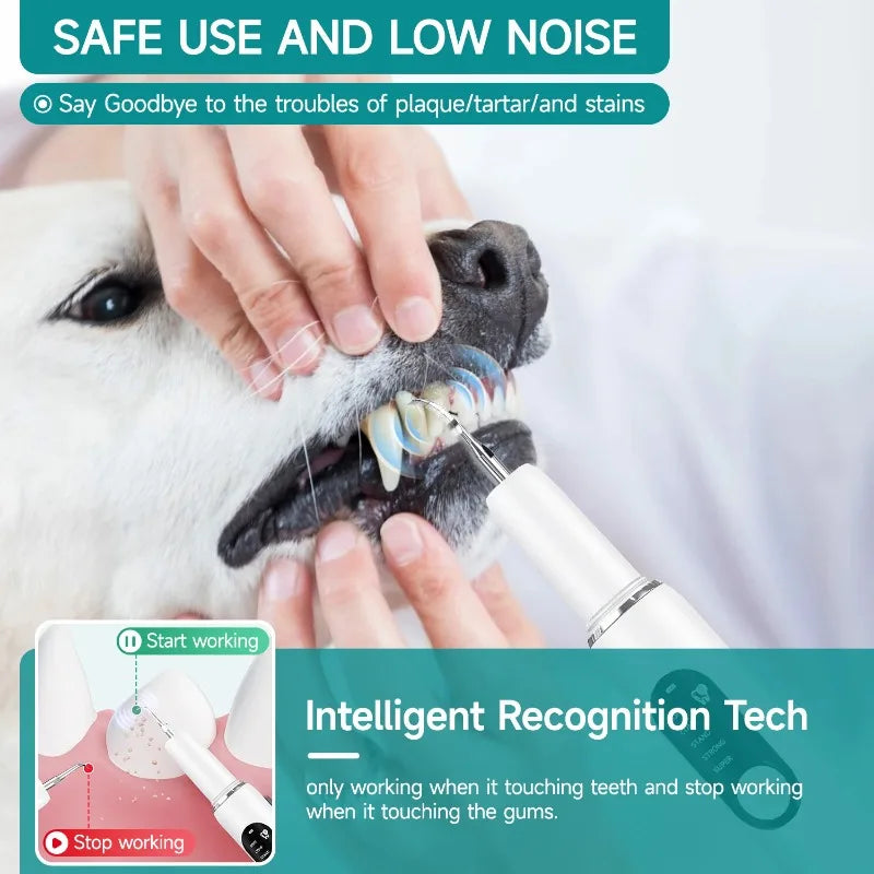 Dog Use Ultrasonic Tooth Cleaner Dog Cat Pet Dental Scaler for Tartar Removal Teeth Cleaning Tool with LED Light
