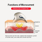 ECO CREST - Microcurrent Facial Lifting & Sculpting Massager
